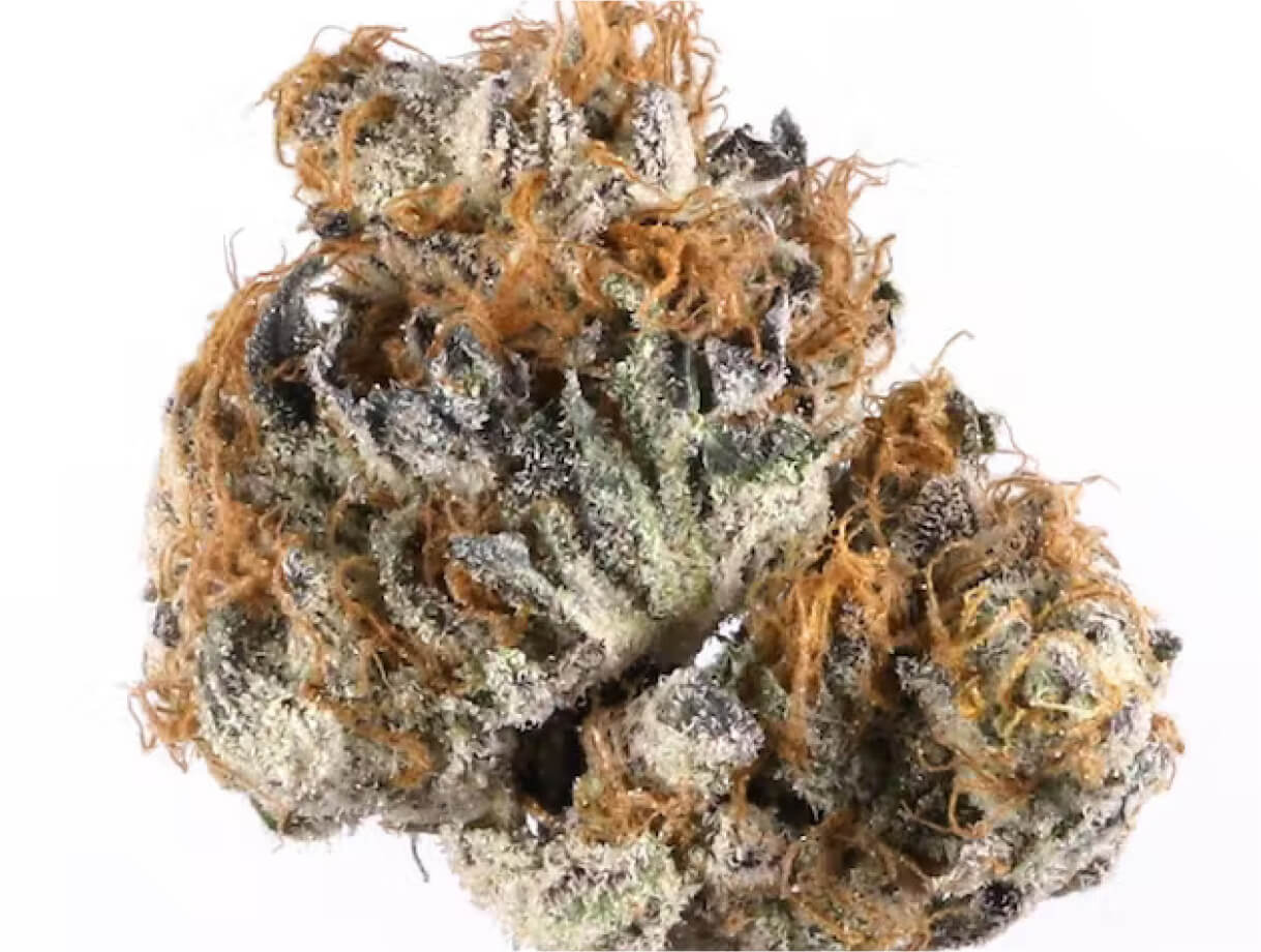 Tropicana Cherry 